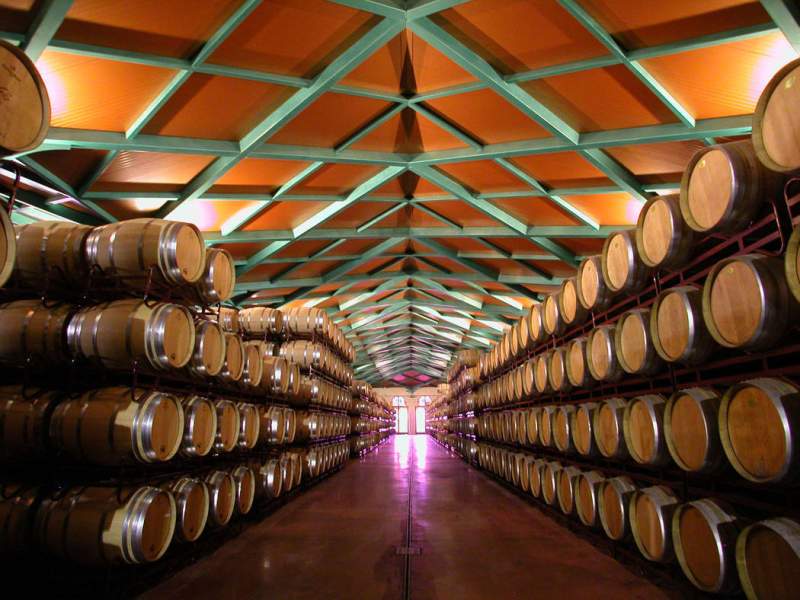 Ruta Campo de Cariñena – Bodega Grandes Vinos y Viñedos
