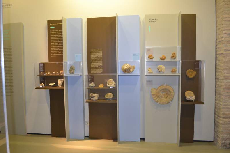 Museo de Ciencias Naturales de Zaragoza (2)