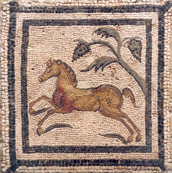 Villa Fortunatus – Mosaico (1)