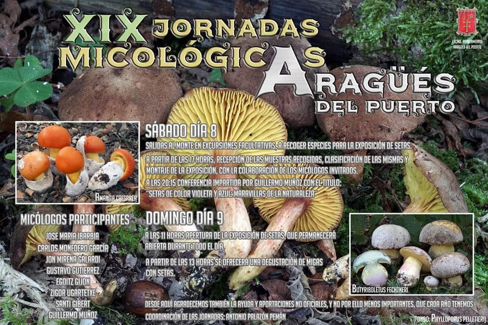 Jornadas micológicas Aragüés del Puerto 2022