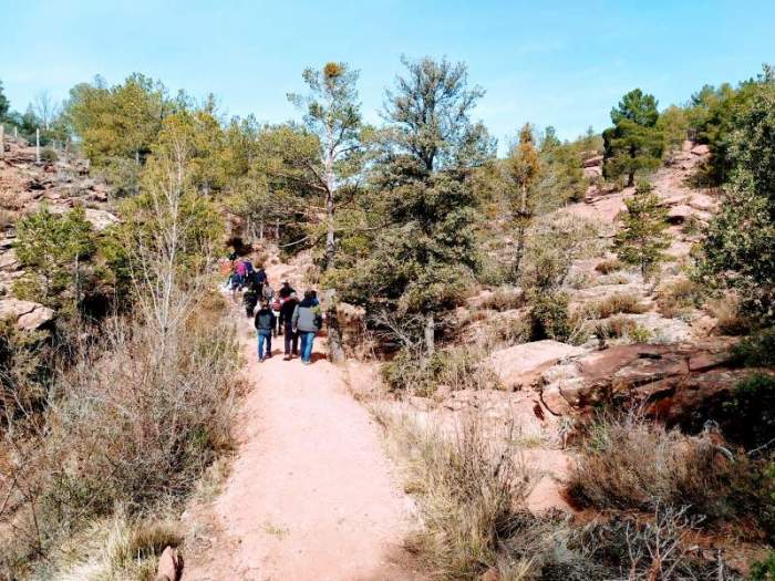 Parque fauna La Malena Sierra de Albarracín – Tramacastilla (3)