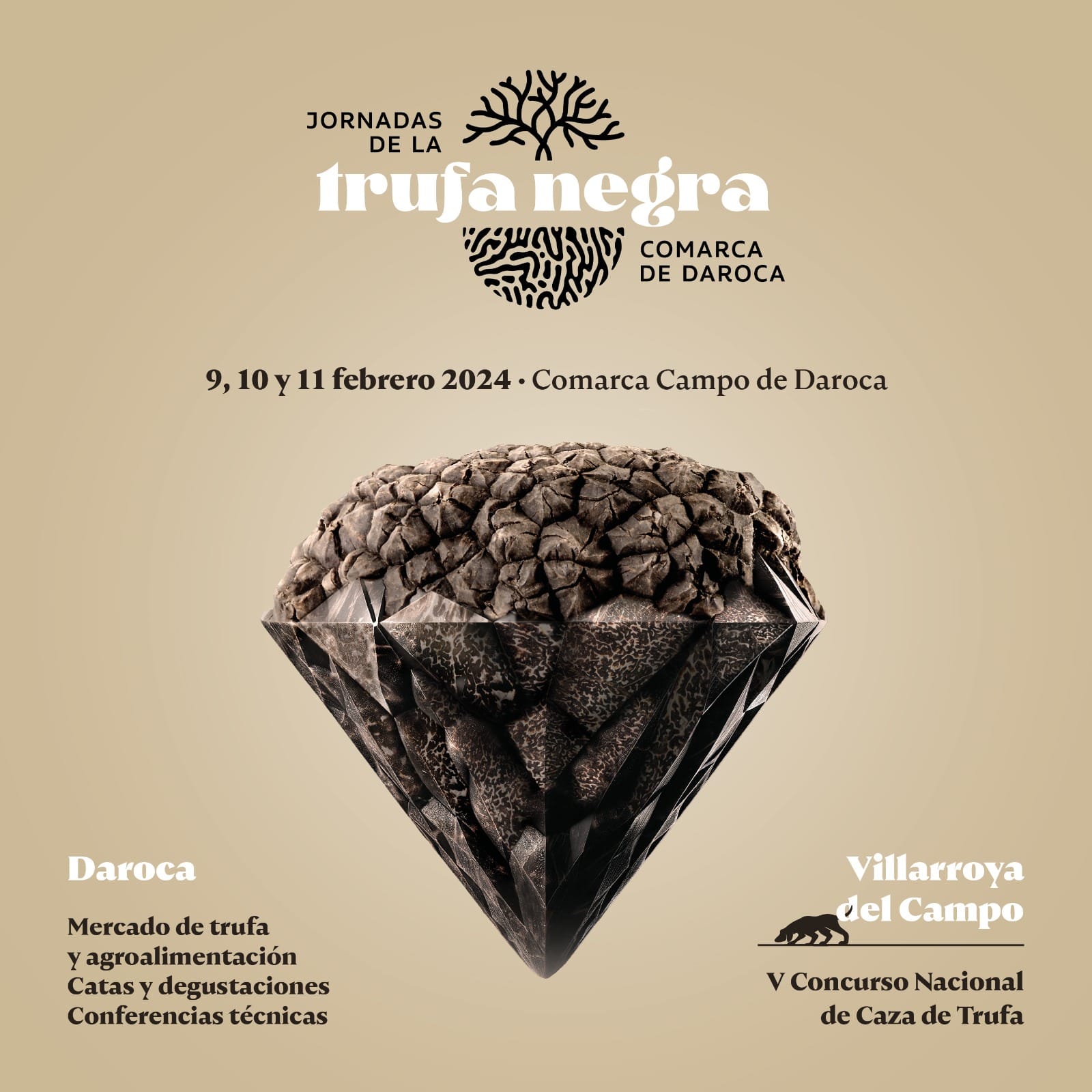 Jornadas de la trufa negra Comarca de Daroca 2024 : Turismo de Aragón