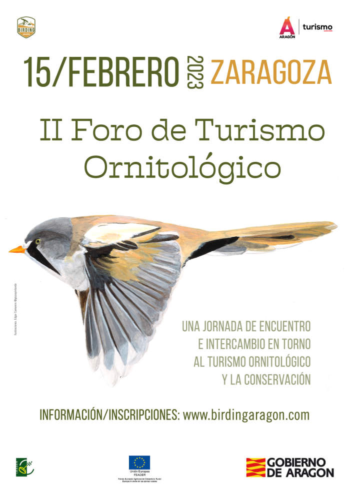 Cartel II Foro Turismo Ornitolótico Birding Aragón