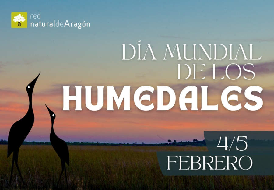 La Red Natural de Aragón celebra el Día Mundial de los Humedales con actividades gratuitas
