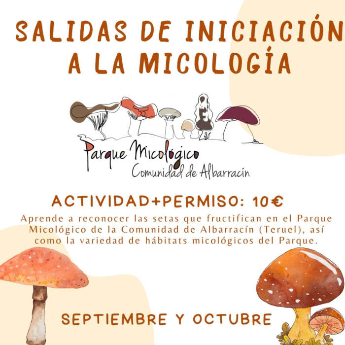 Salidas de iniciación a la micología Sierra de Albarracín 2023